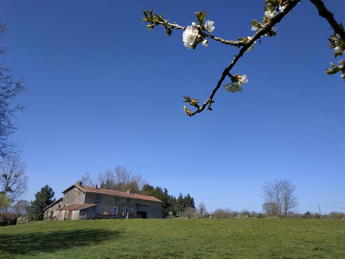 Maison Au Calme Avec Vue Etang Clesse  Exteriér fotografie