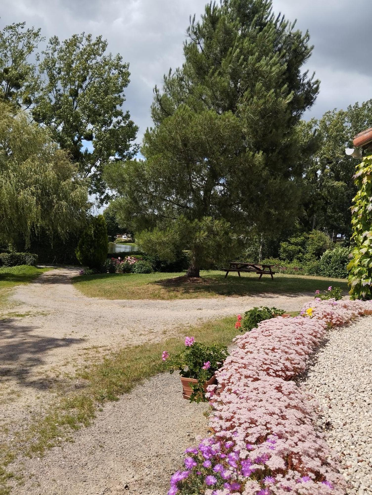 Maison Au Calme Avec Vue Etang Clesse  Exteriér fotografie